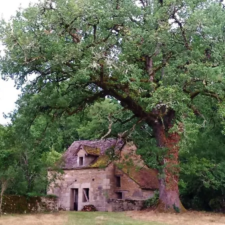 Les Granges De L Abbaye 3* Ginals