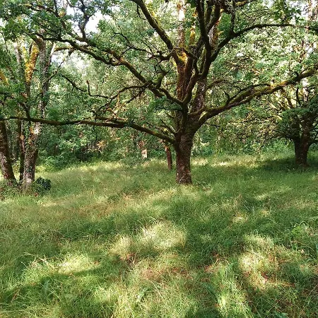 Les Granges De L Abbaye Nocleg ze śniadaniem 3*