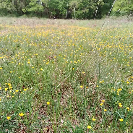 Les Granges De L Abbaye Couette-café