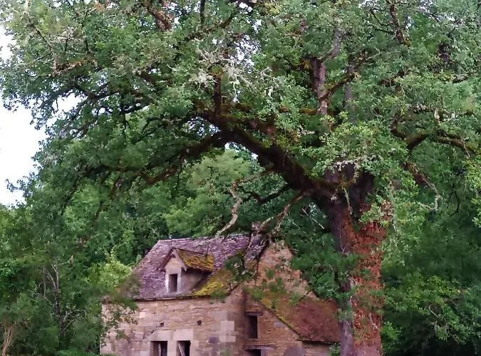 Les Granges De L Abbaye 3* Ginals