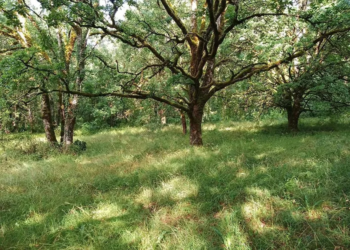 Les Granges De L Abbaye Panzió 3*